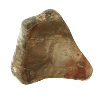 versteend hout freeform