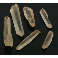 Gouden  lemuriaanse  lasers 6 stuks