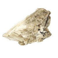 Gouden Mica met zwarte Toermalijn