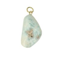 Larimar Dolfijnatlantissteen