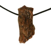Versteend hout van de Mammoetboom