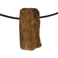 Versteend hout van de Mammoetboom