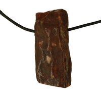 Versteend hout van de Mammoetboom