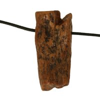 Versteend hout van de Mammoetboom