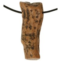 Versteend hout van de Mammoetboom