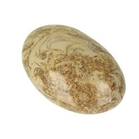 schelpen jaspis