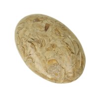 schelpen jaspis