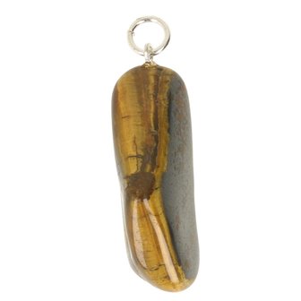 Tijgeroog ( goud )