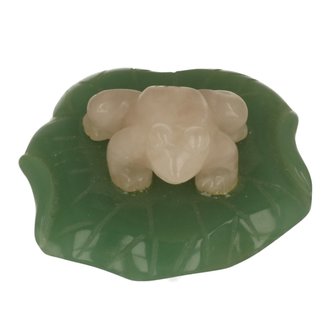 Rozenkwarts kikker op Jade blad
