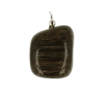 versteend hout