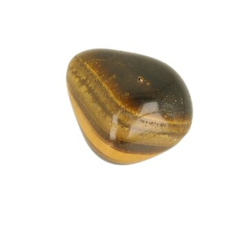 Tijgeroog ( goud )