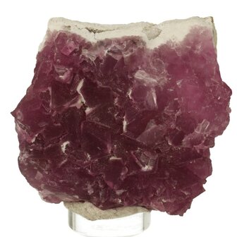 Roze Magenta Fluoriet