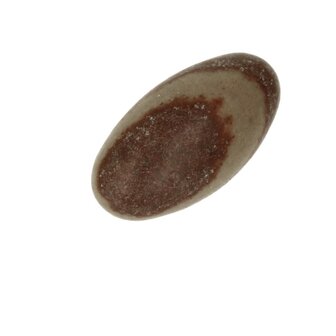 Shiva lingam