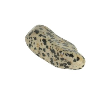 jaspis dalmatier