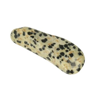 jaspis dalmatier