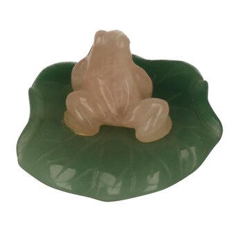 Rozenkwarts kikker op Jade blad