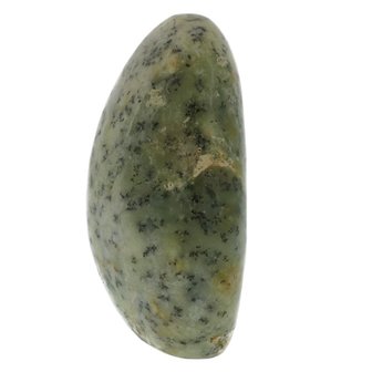 merliniet