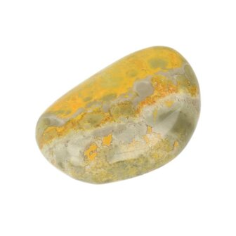 Bumblebee Jaspis (Eclipse Stone)