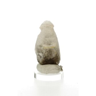 Morion Rookkwarts Sugarblade, veelal Scepter kristal (Discovery stone)