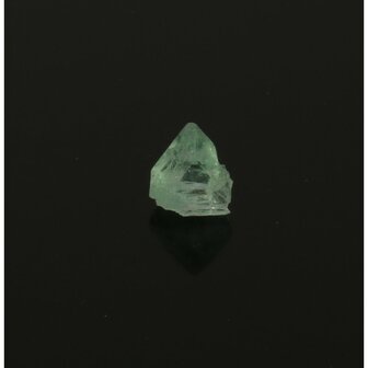 Apofylliet piramides groene &lsquo;gem&rsquo;