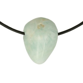 Larimar Dolfijnatlantissteen