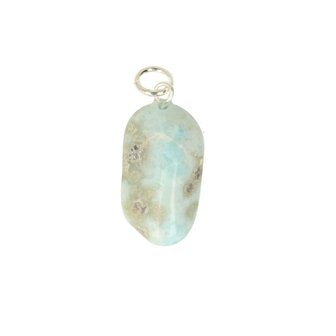 Larimar Dolfijnatlantissteen  