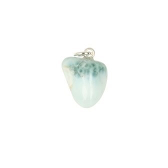 Larimar Dolfijnatlantissteen  