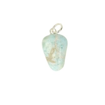 Larimar Dolfijnatlantissteen  