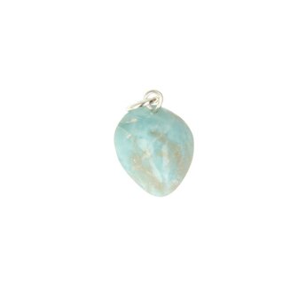 Larimar Dolfijnatlantissteen  