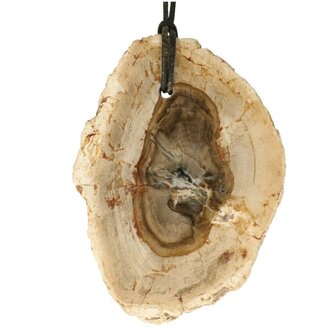 Versteend hout