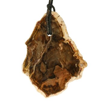Versteend hout