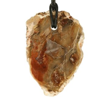 Versteend hout
