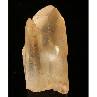 Tangerine Lemurian