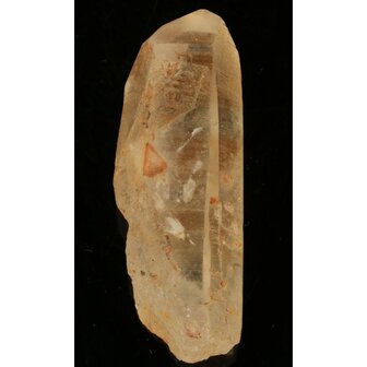 Tangerine Lemurian