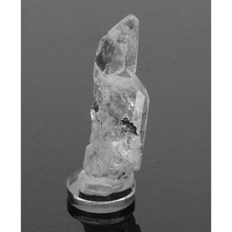 Silver Line Lemurian&nbsp; uit Diamantina