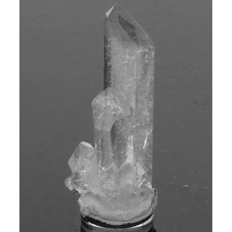 Silver Line Lemurian&nbsp; uit Diamantina