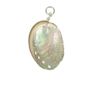 Abalone schelp