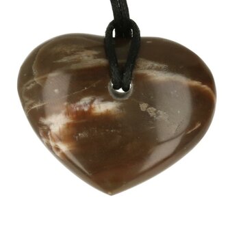 Versteend hout
