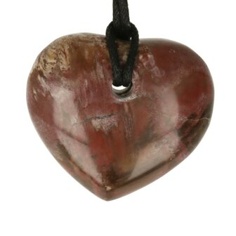 Versteend hout