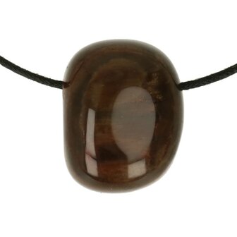 Versteend hout 