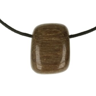 Versteend hout 