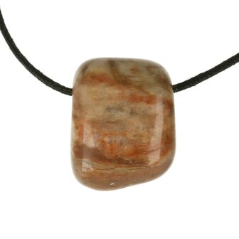 Versteend hout 