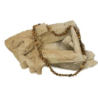 Tijgeroog ( goud ) korte split ketting