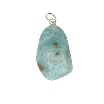 Larimar Dolfijnatlantissteen