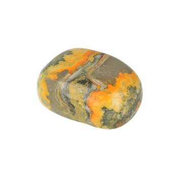 Bumblebee Jaspis (Eclipse Stone)