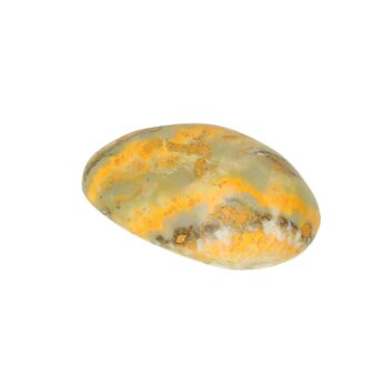 Bumblebee Jaspis (Eclipse Stone)