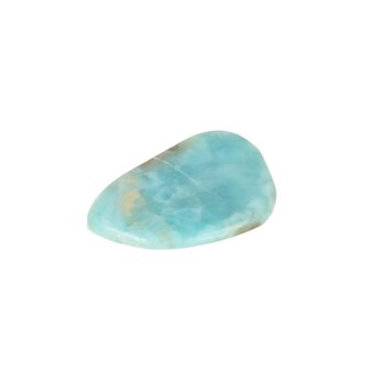 Larimar Dolfijnatlantissteen