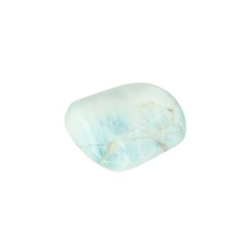 Larimar Dolfijnatlantissteen