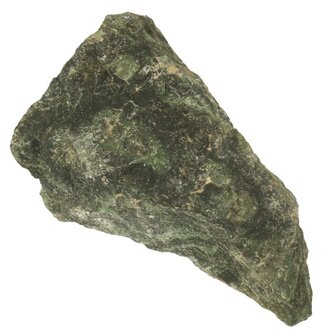 Kambaba ruw