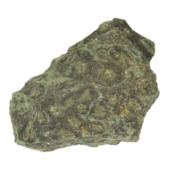 Kambaba ruw